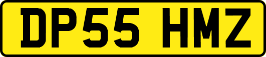 DP55HMZ