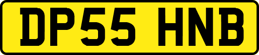 DP55HNB
