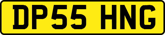 DP55HNG