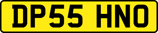 DP55HNO
