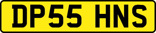 DP55HNS