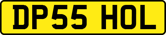 DP55HOL