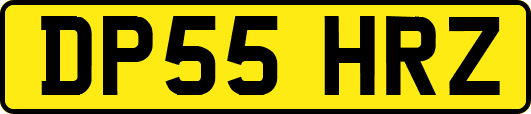 DP55HRZ