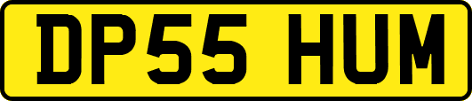DP55HUM