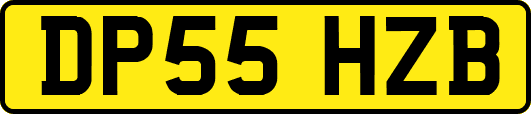 DP55HZB