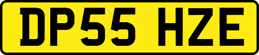 DP55HZE