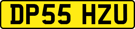 DP55HZU
