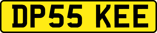 DP55KEE