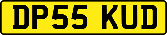 DP55KUD