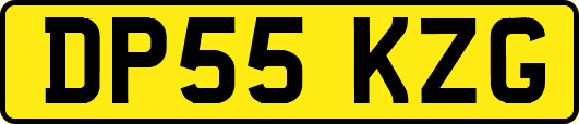 DP55KZG
