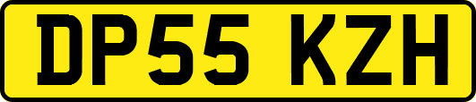 DP55KZH