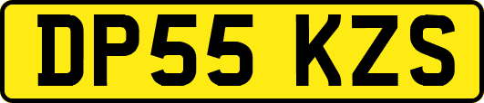 DP55KZS