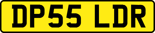 DP55LDR