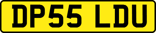 DP55LDU