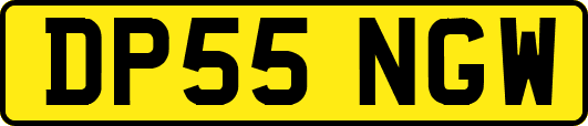 DP55NGW