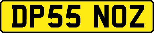 DP55NOZ