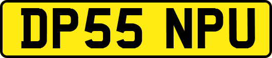 DP55NPU