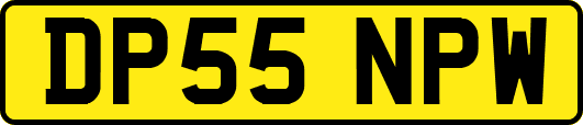 DP55NPW