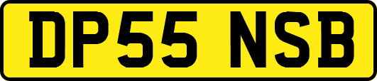 DP55NSB