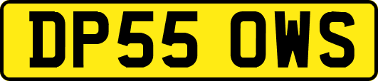 DP55OWS