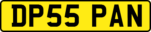 DP55PAN