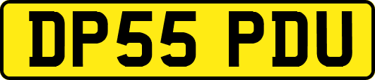 DP55PDU