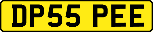 DP55PEE