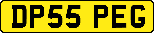 DP55PEG