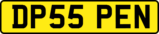 DP55PEN