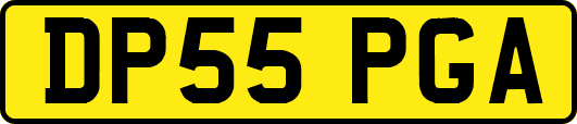 DP55PGA