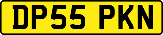 DP55PKN