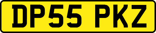 DP55PKZ