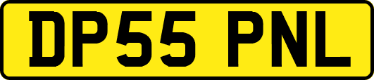 DP55PNL