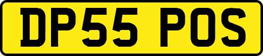 DP55POS