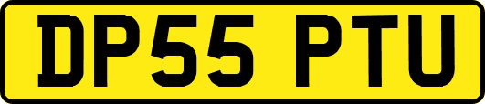 DP55PTU