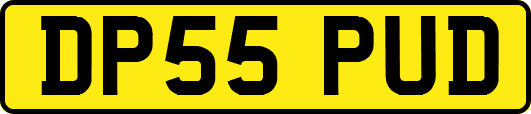 DP55PUD