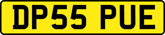 DP55PUE