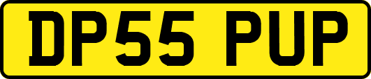 DP55PUP