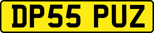 DP55PUZ