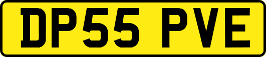 DP55PVE