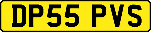 DP55PVS