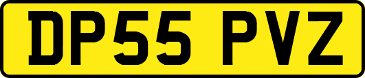 DP55PVZ