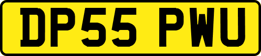 DP55PWU