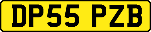 DP55PZB