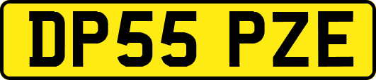 DP55PZE