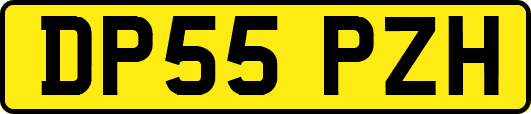 DP55PZH
