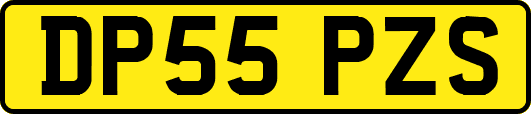 DP55PZS