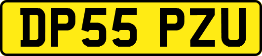 DP55PZU