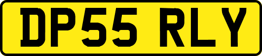 DP55RLY