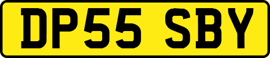 DP55SBY